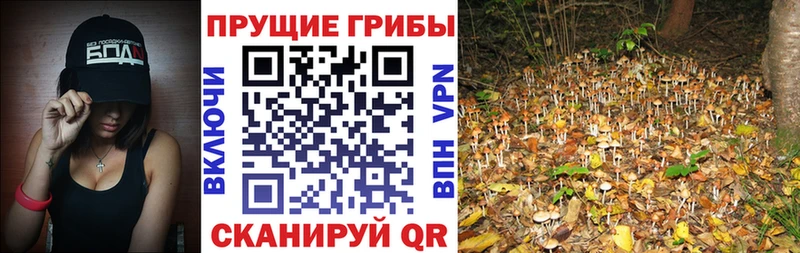Галлюциногенные грибы ЛСД  Шали 