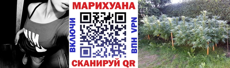 Бошки марихуана MAZAR Шали